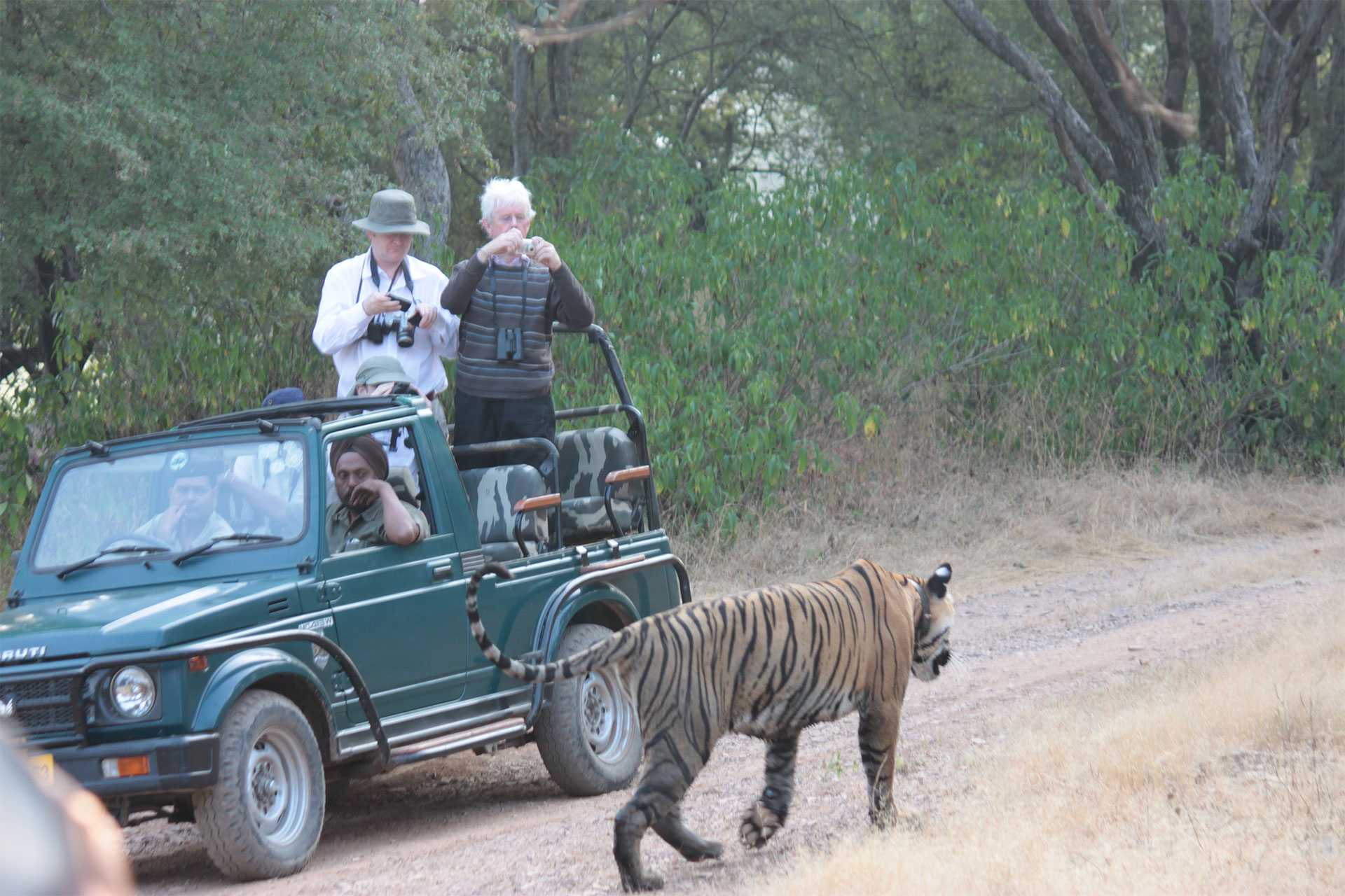 ranthambore to agra train